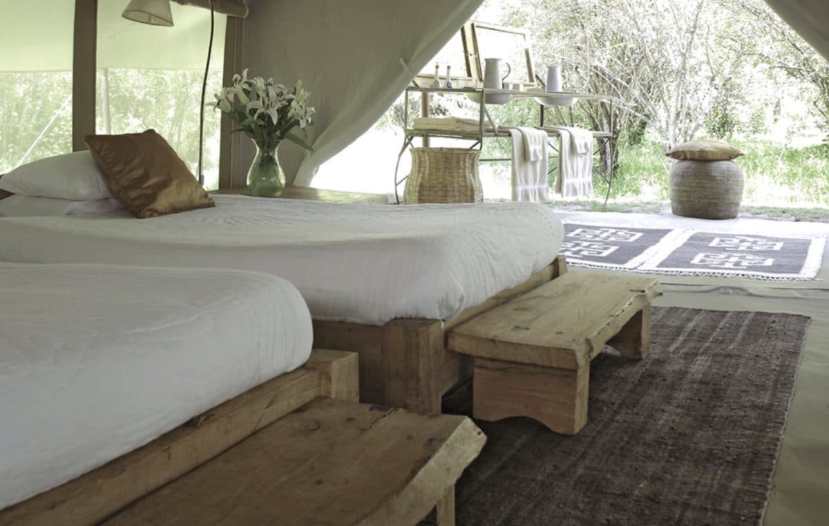 A Kenya safari – what can you expect? 12 Naibor Camp Maasai Mara