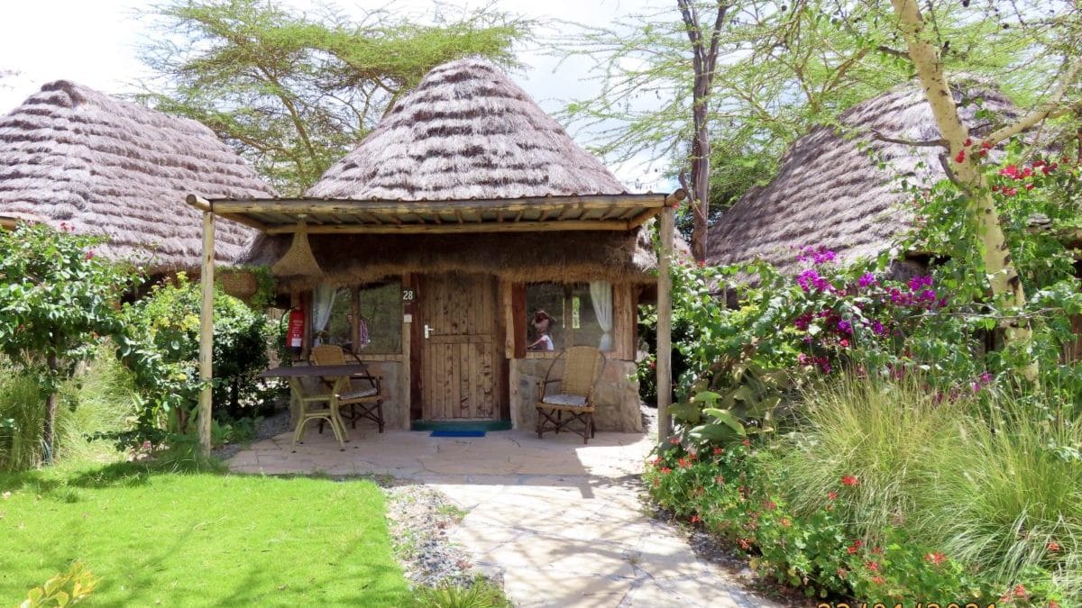 A Kenya safari – what can you expect? 10 swara plains bandas