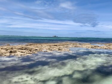 Tembea kenya - why you should Travel Kenya 4 F84E8835 DFB7 48F8 B8FD 68C7625CF063 1 201 a