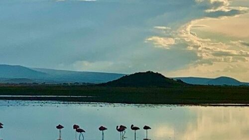 21 Incredible Family Friendly Resorts in Kenya 2024 8 Camping at Amboseli National Park