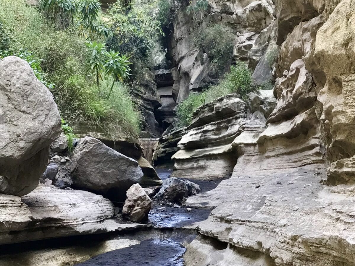 10 Unforgettable Places to Visit in Lake Naivasha Kenya 10 the best places to visit in naivasha
