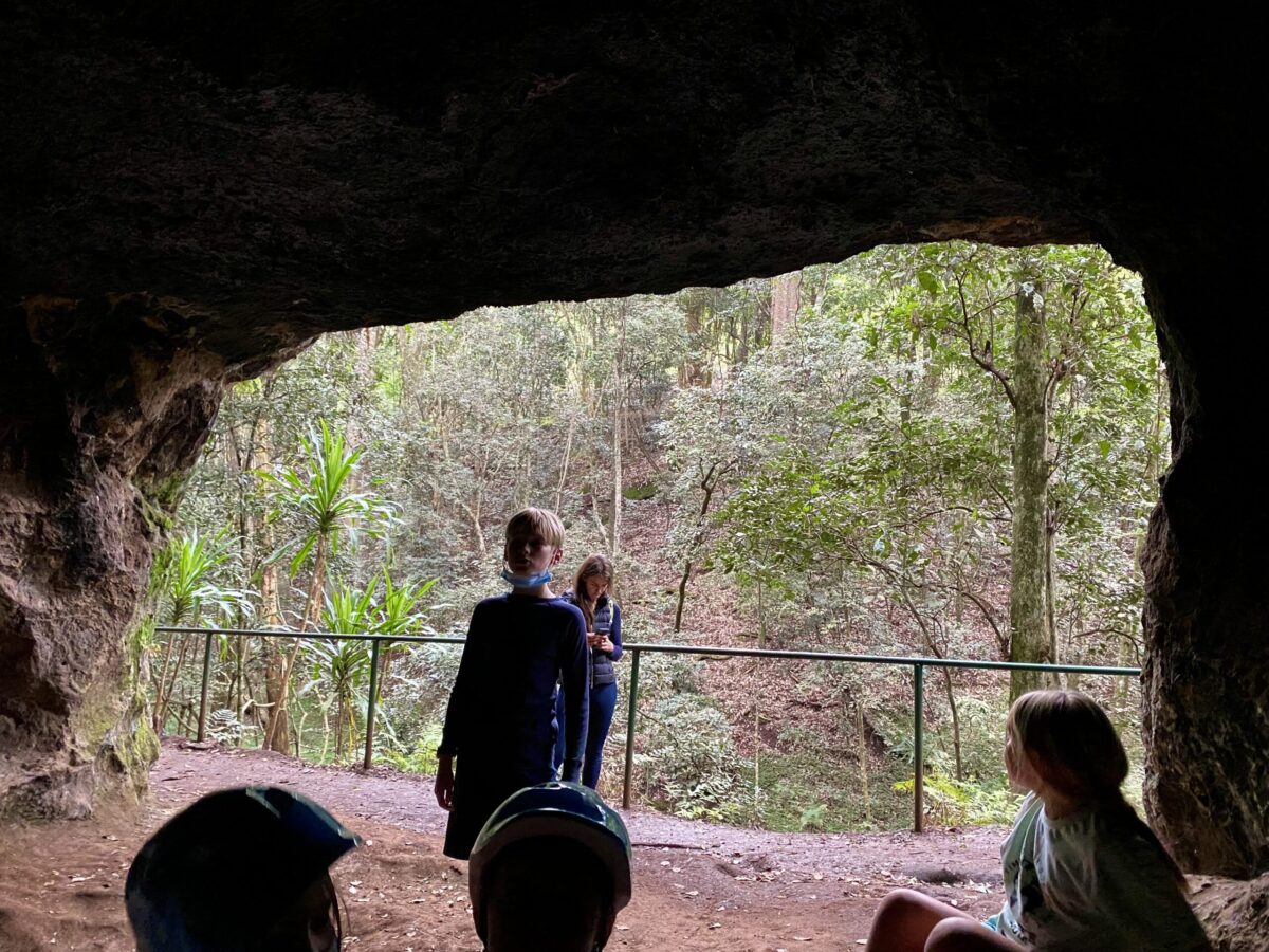 The Best Guide to Karura Forest Nairobi 3 Karura Forest Reserve