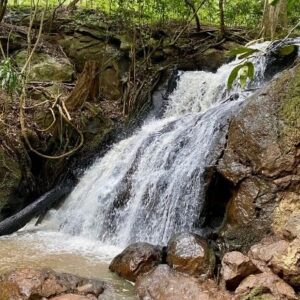 Nairobi 20 karura forest nairobi everything you need to know