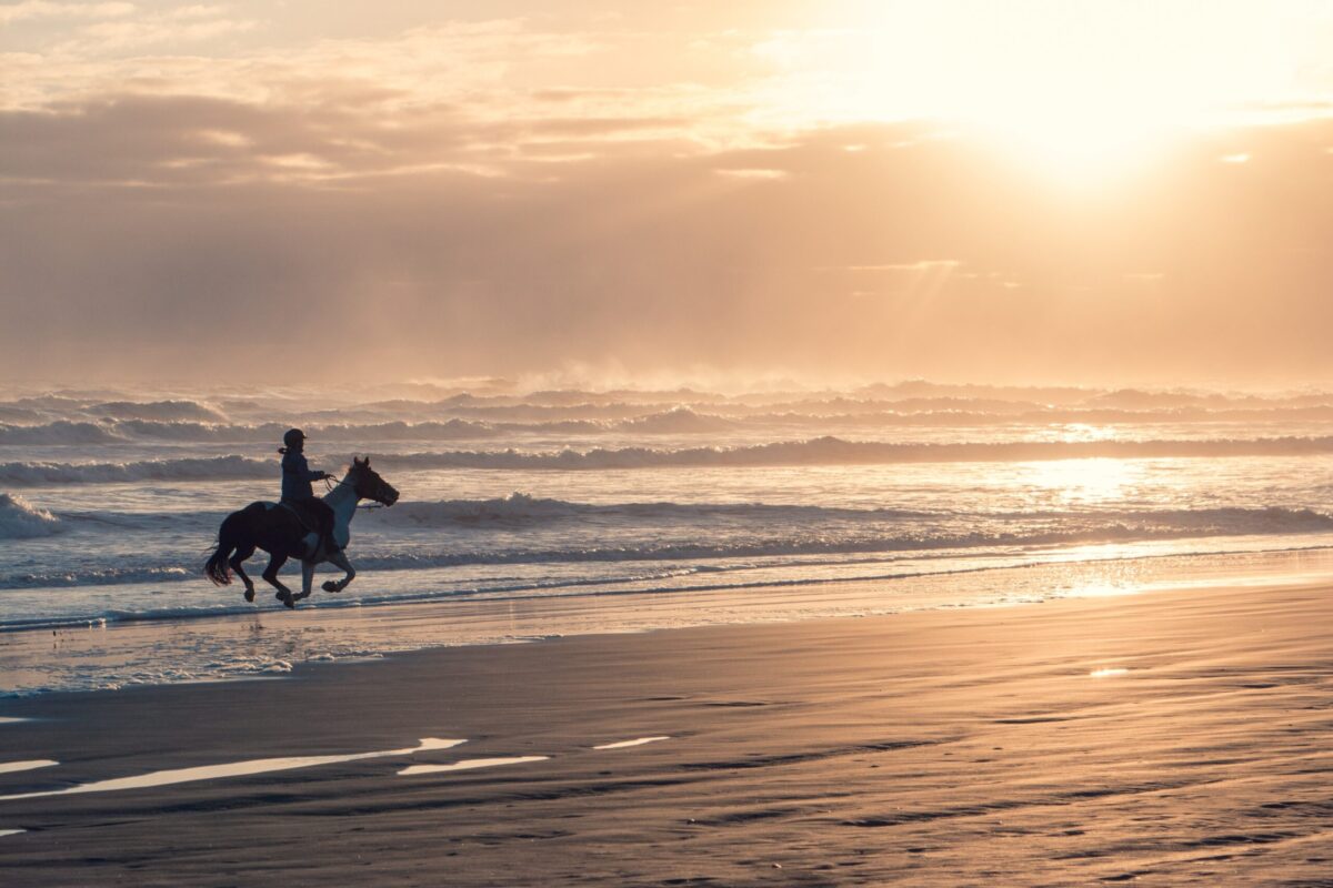 27 Inspiring Things To Do In Diani Beach 2024 6 Horse riding on Diani Beach