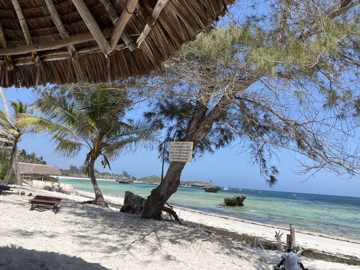 Discover Gecko Resort Watamu - Hotel Review 7 Turtle Bay Beach Watamu