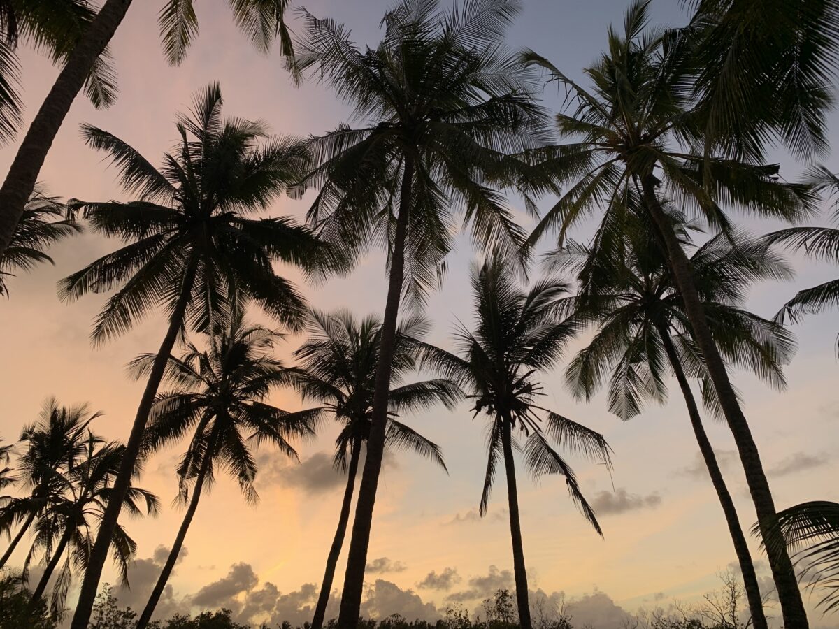 6 Luxurious Resorts, Retreats and Hotels In Malindi 9 hotels in Malindi