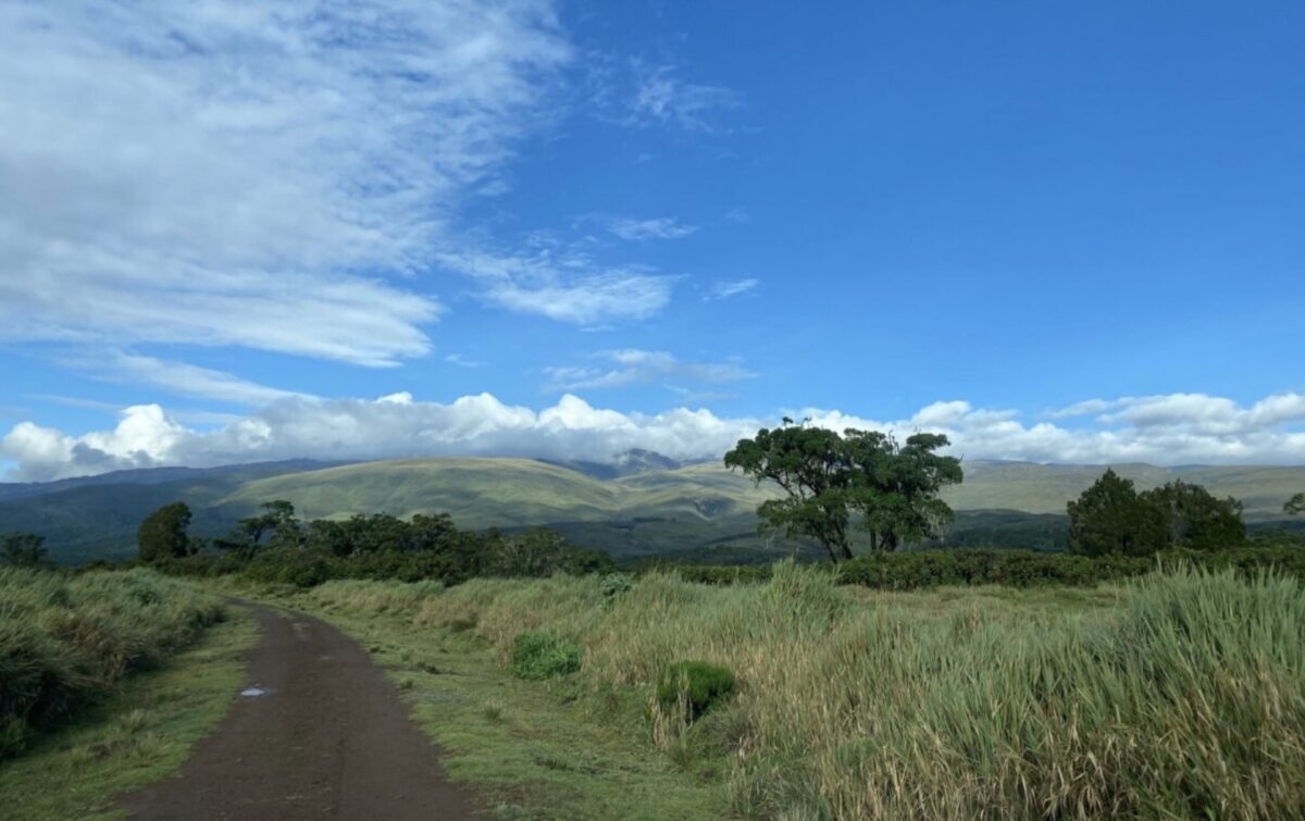 2022 UPDATE: Why Choose a Self Drive Safari Kenya 2 self drive safari kenya