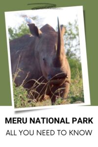 Meru National Park - Wilderness Safari Camping 11 meru national park a kenyan wilderness safari #safari #kenya #merunationalpark