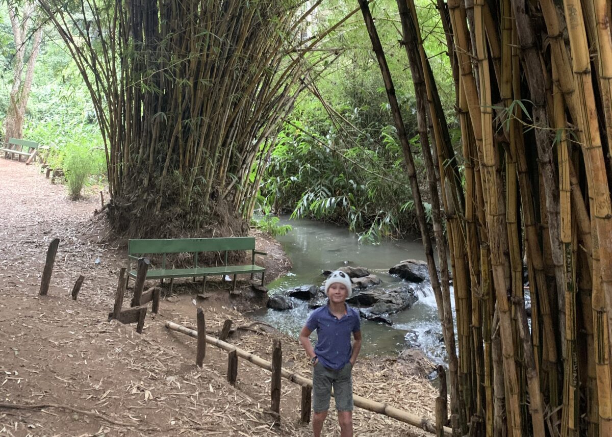 Expat Guide to Karen Nairobi 2024 24 ololua nature trail