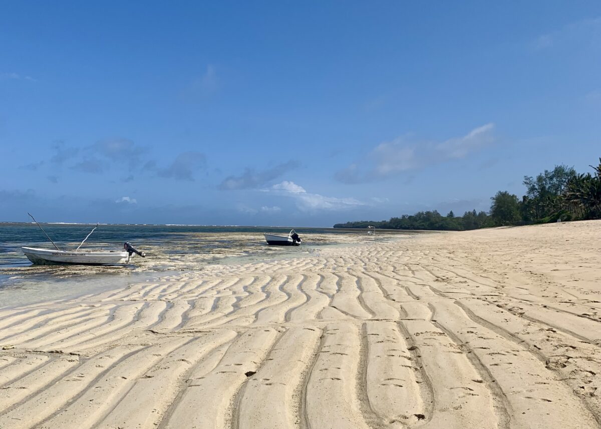 Kilifi Kenya Travel Guide: Beaches, Culture, and Adventure 4 Kuruwitu Conservancy Kenya