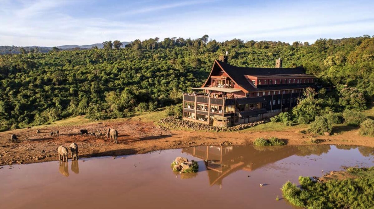 Exploring the Aberdares National Park Kenya 5 The ark hotel aberdares kenya
