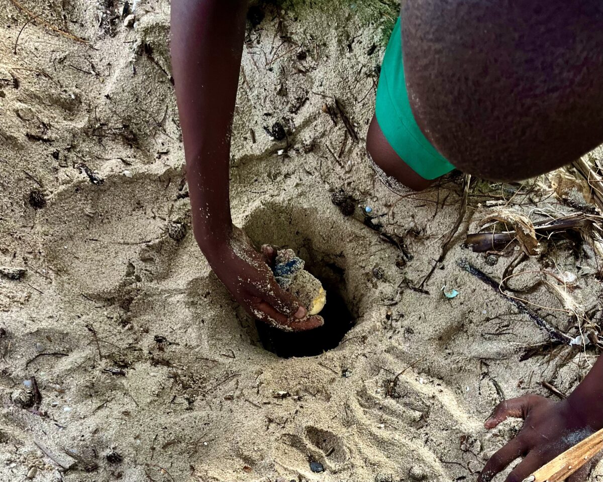 Kenya Turtles Conservation - Where to See Turtles in Kenya 2 Kenya turtles mtwapa beach