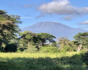 The Expat Mummy 15 Kimana sanctuary