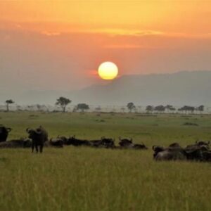 Maasai Mara 4 camping in the maasai mara