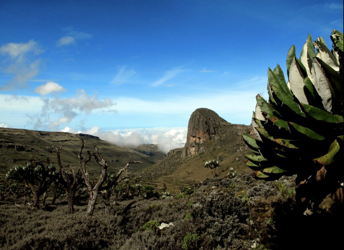 11 Off The Beaten Track Destinations in Kenya 2024 7 Off the Beaten Track Places in Kenya Mount Elgon