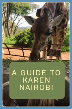 Pinterest a guide to karen nairobi A Guide to Karen Nairobi