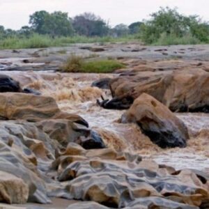 Travel 9 Tsavo National Park Kenya