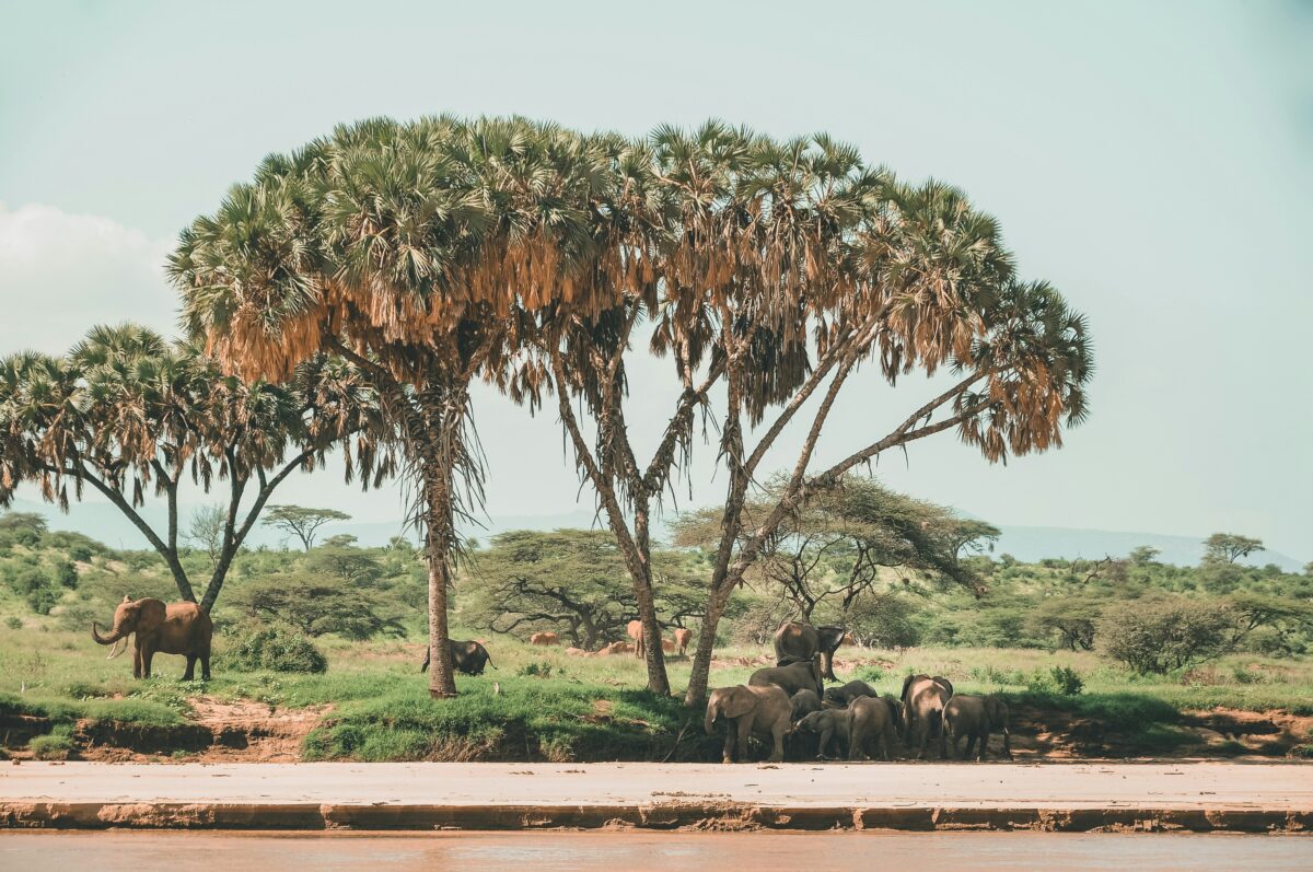 Escape the Crowds - Safari at Samburu National Reserve Kenya 1 Ewaso Ng'iro at Samburu National Reserve