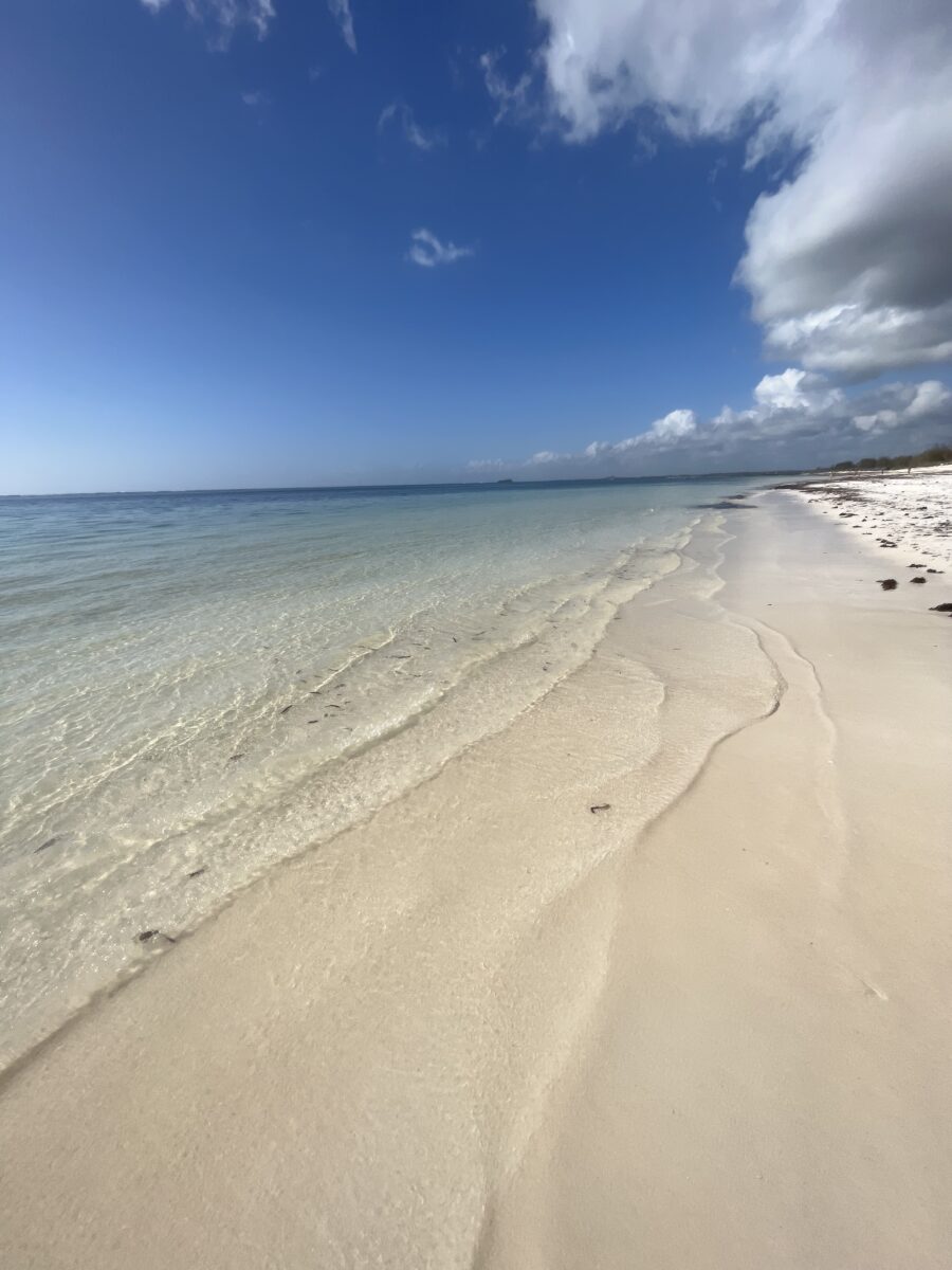 Watamu Beach Kenya - A Local's Travel Guide to Paradise 3 IMG 3208 scaled