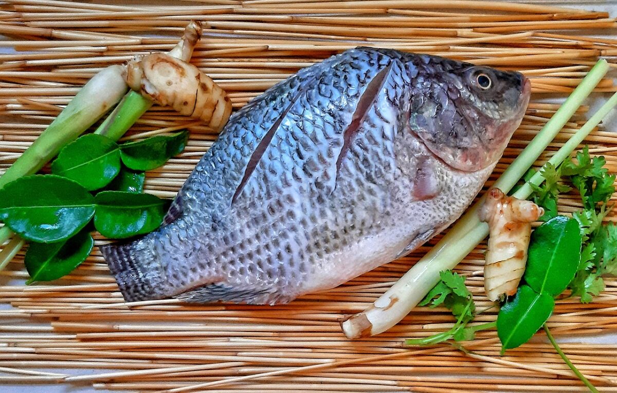 A Guide to Fly Fishing in Kenya 4 Tilapia fish on a wooden board